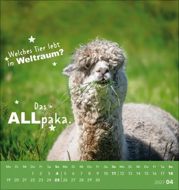 Bild: 9783819305535 | Tierisch lustig 2027 | aufstellbarer Postkartenkalender | Korsch