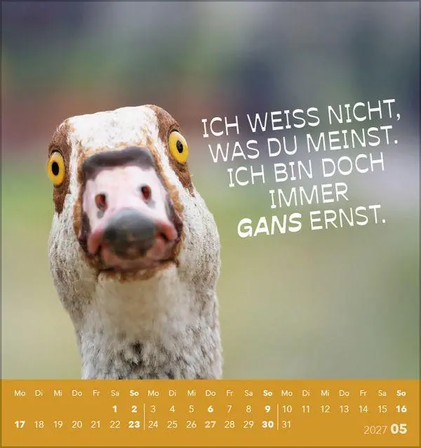 Bild: 9783819305535 | Tierisch lustig 2027 | aufstellbarer Postkartenkalender | Korsch
