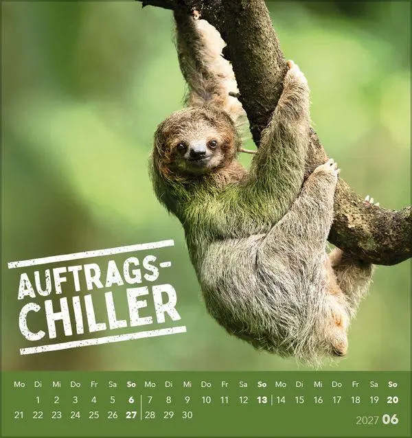 Bild: 9783819305535 | Tierisch lustig 2027 | aufstellbarer Postkartenkalender | Korsch