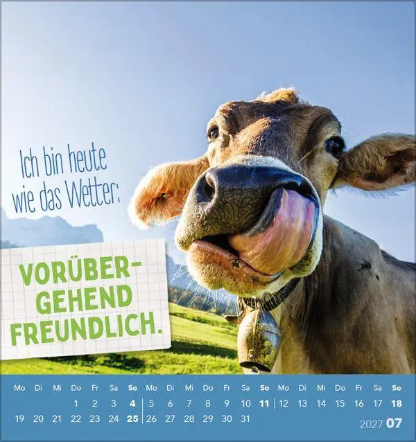 Bild: 9783819305535 | Tierisch lustig 2027 | aufstellbarer Postkartenkalender | Korsch