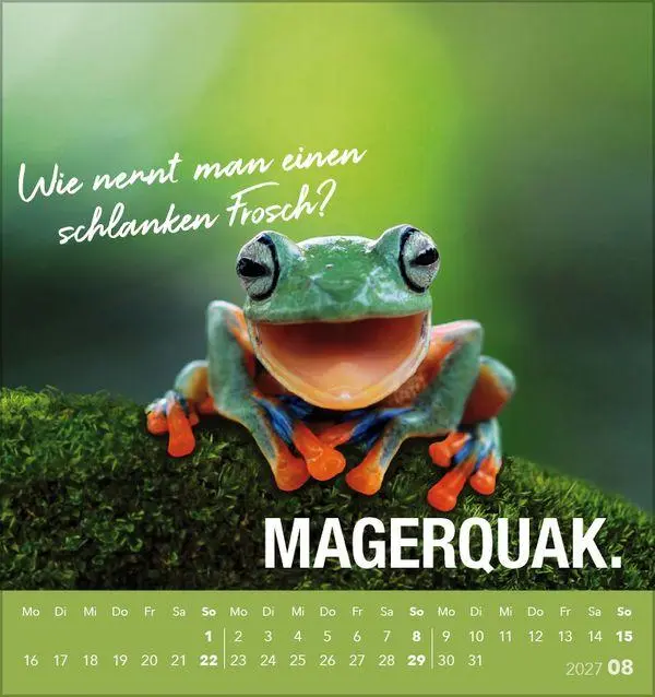 Bild: 9783819305535 | Tierisch lustig 2027 | aufstellbarer Postkartenkalender | Korsch