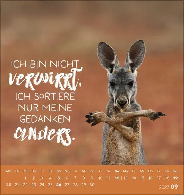 Bild: 9783819305535 | Tierisch lustig 2027 | aufstellbarer Postkartenkalender | Korsch