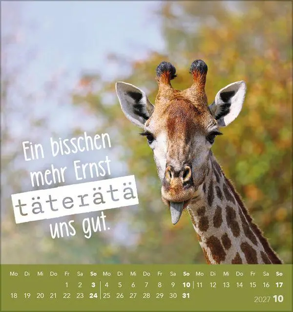 Bild: 9783819305535 | Tierisch lustig 2027 | aufstellbarer Postkartenkalender | Korsch