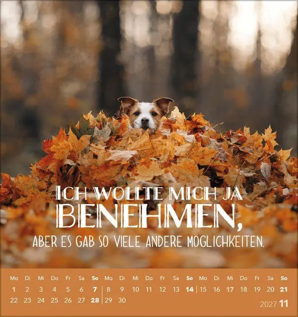 Bild: 9783819305535 | Tierisch lustig 2027 | aufstellbarer Postkartenkalender | Korsch