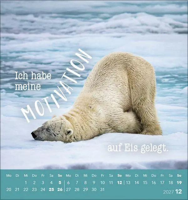Bild: 9783819305535 | Tierisch lustig 2027 | aufstellbarer Postkartenkalender | Korsch