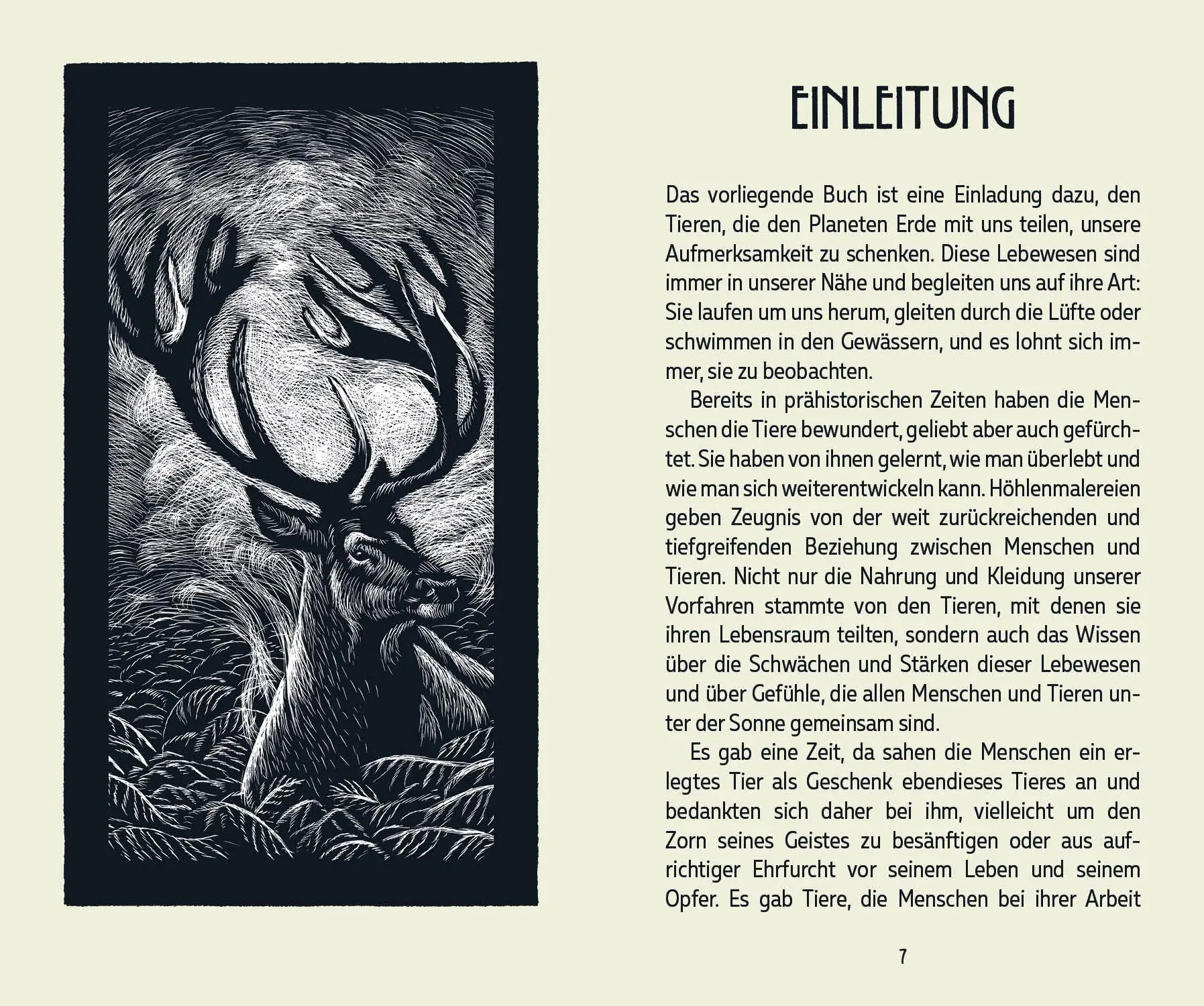 Bild: 9788863125535 | Tierorakel | Spirituelle Weisheit aus dem Reich der Tiere | Matteoni