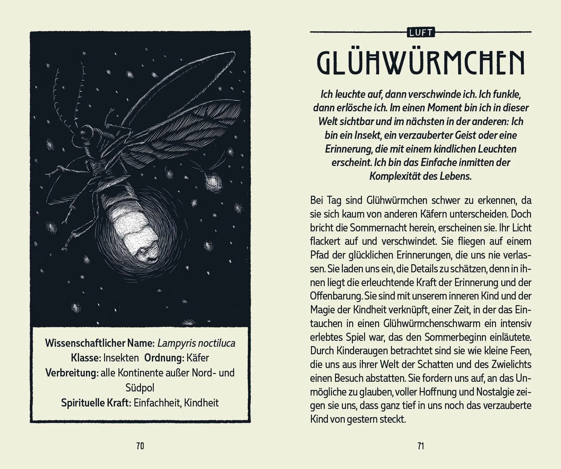 Bild: 9788863125535 | Tierorakel | Spirituelle Weisheit aus dem Reich der Tiere | Matteoni
