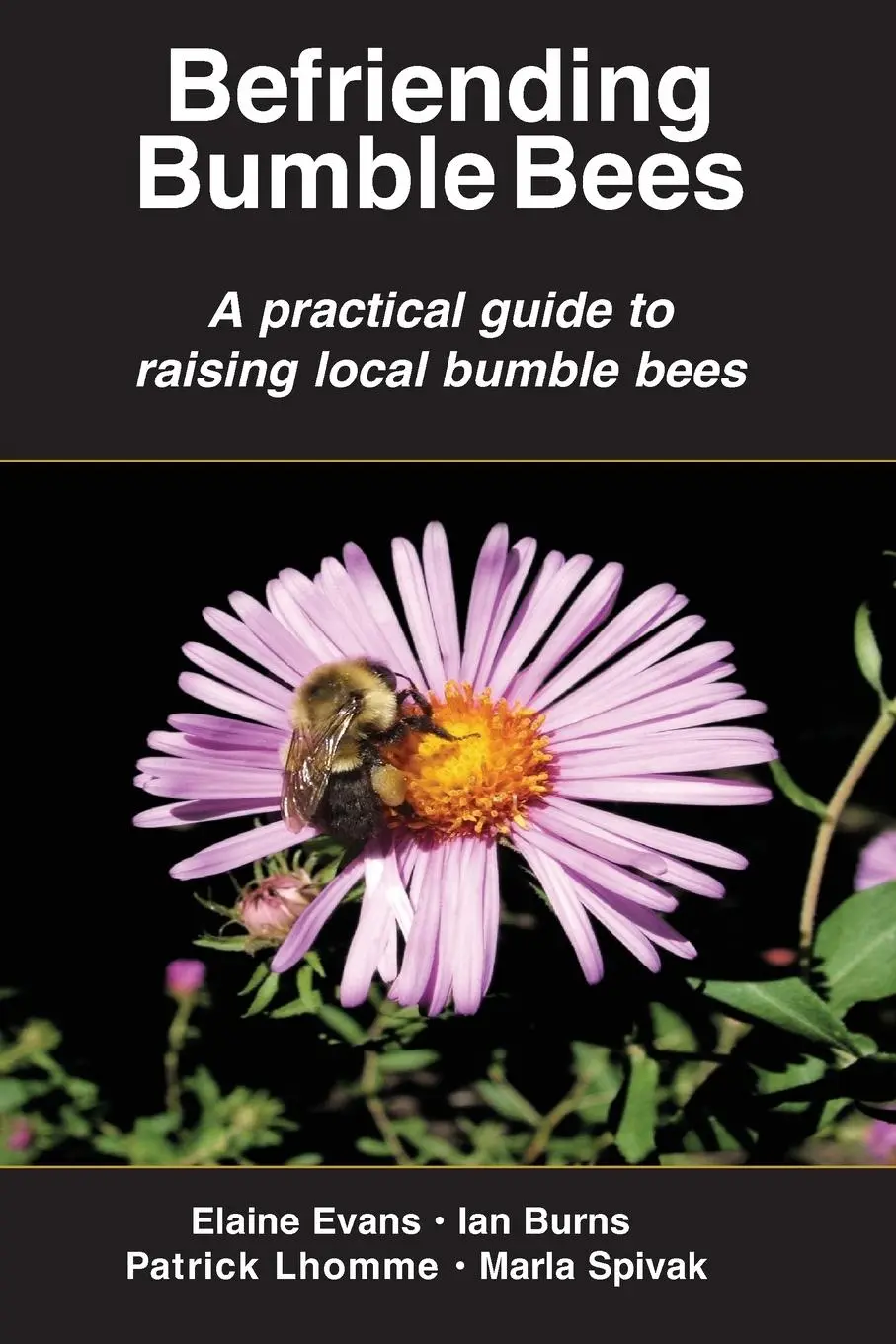 Cover: 9781878075635 | Befriending Bumble Bees | Elaine Evans (u. a.) | Taschenbuch | 2023