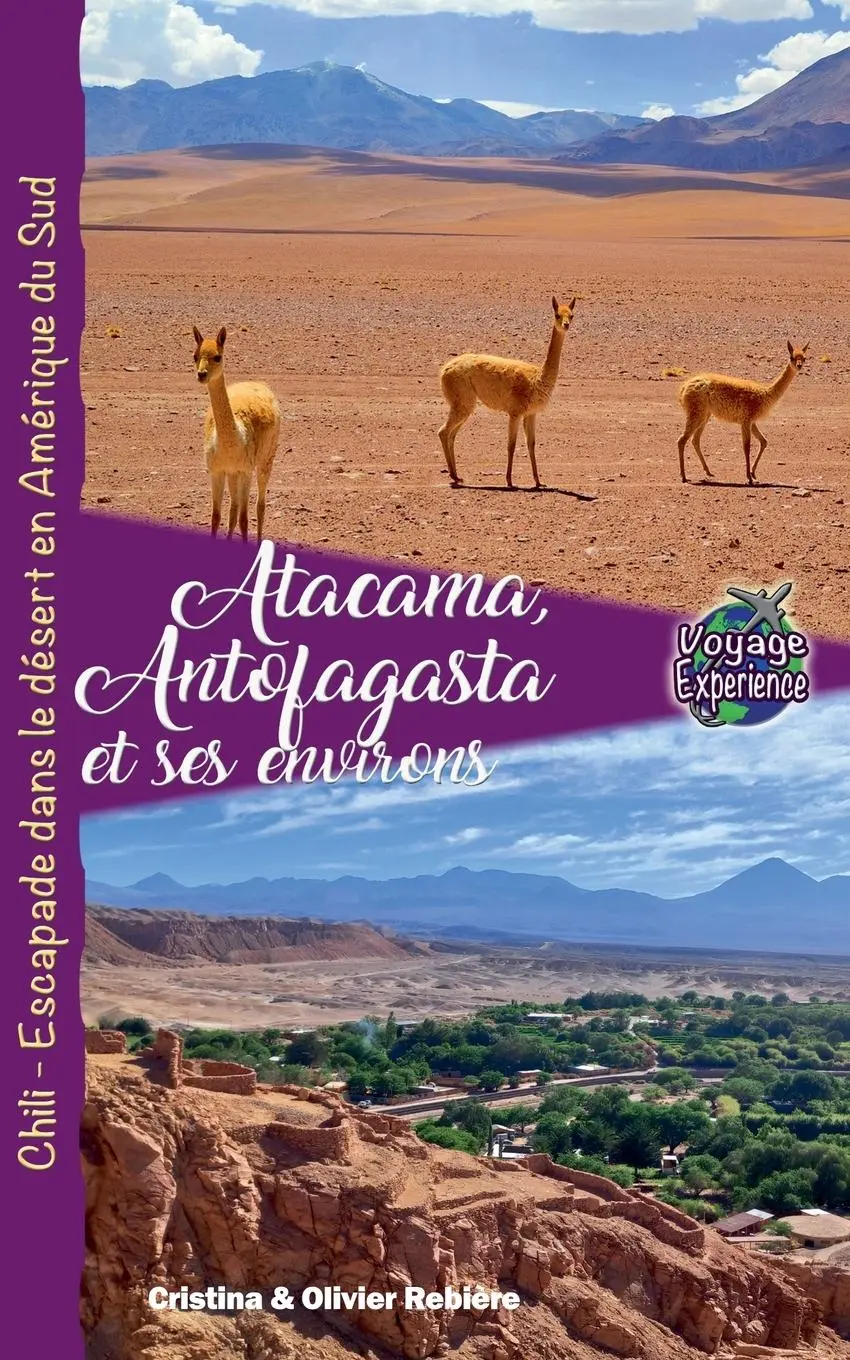 Cover: 9798230495635 | Atacama, Antofagasta et les Environs | Cristina Rebiere | Taschenbuch