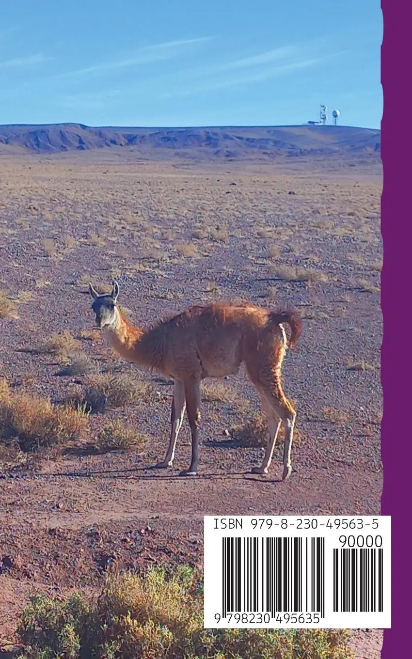 Rückseite: 9798230495635 | Atacama, Antofagasta et les Environs | Cristina Rebiere | Taschenbuch