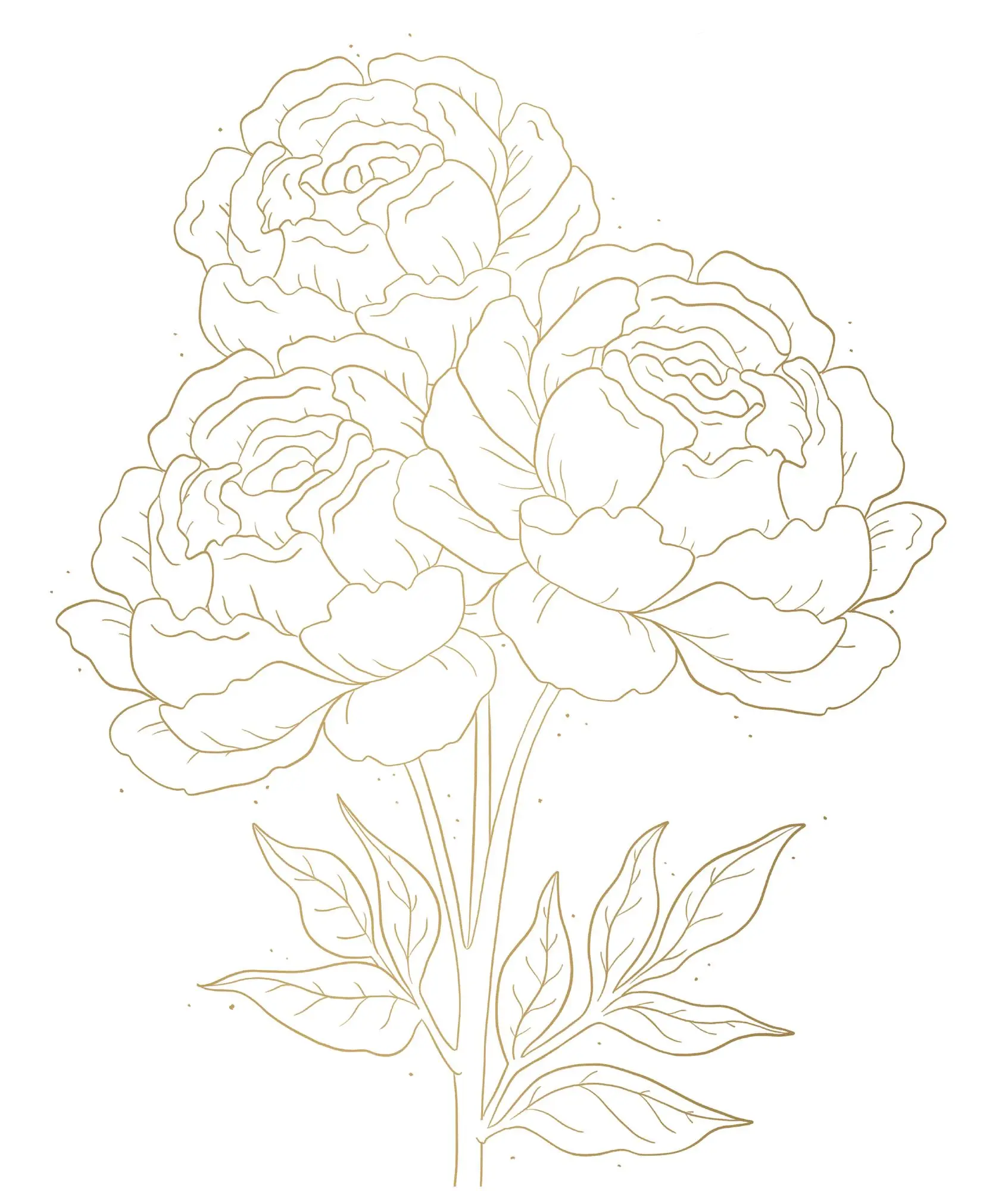 Bild: 4050003955735 | Metallic-Malen (Garden Glory) | Susanna Hatkemper | Taschenbuch | 2025