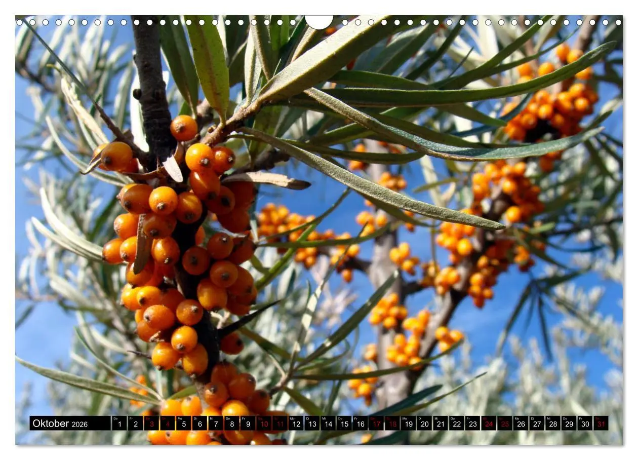 Bild: 9783457875735 | Einzigartiger Kaukasus (Wandkalender 2026 DIN A3 quer), CALVENDO...