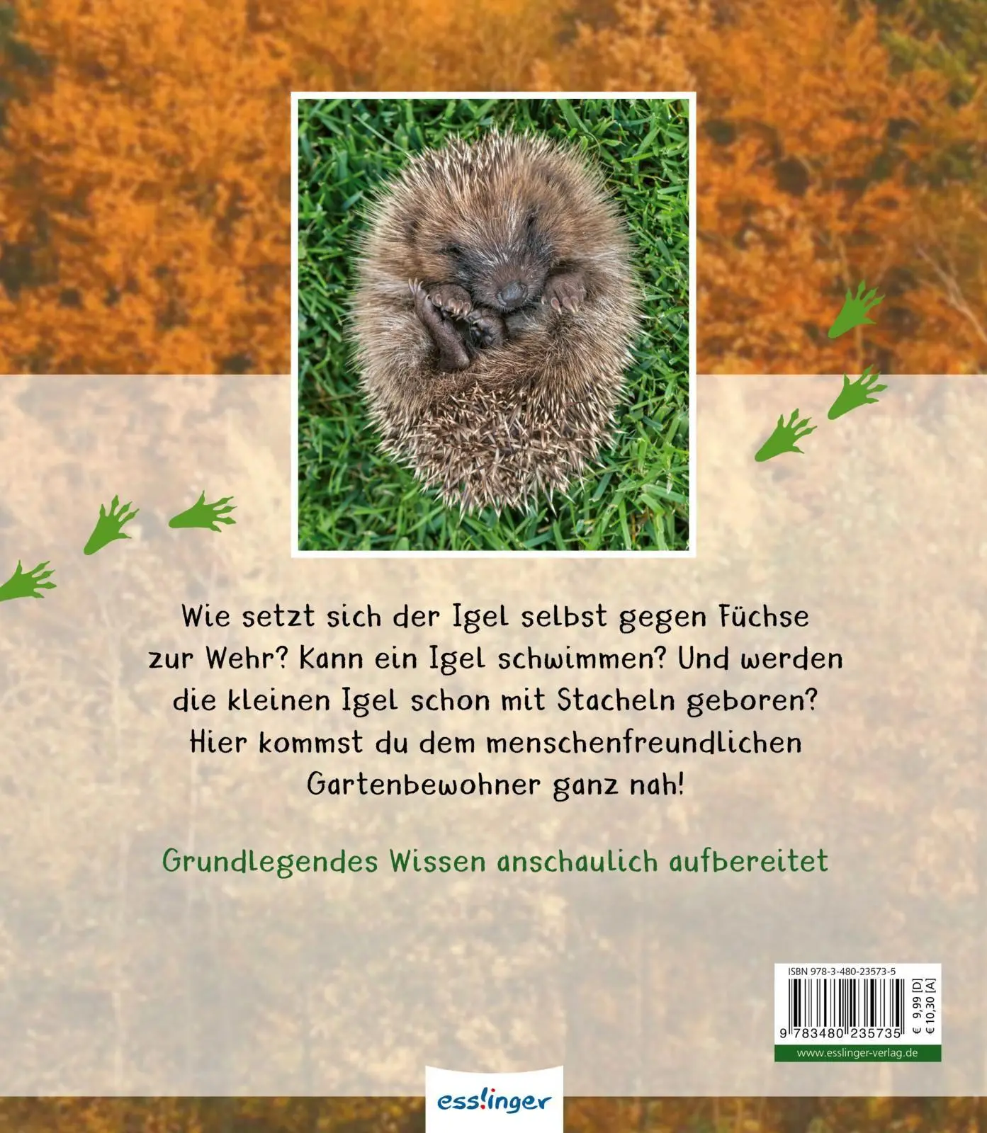 Rückseite: 9783480235735 | Meine große Tierbibliothek: Der Igel | Valérie Tracqui | Buch | 32 S.
