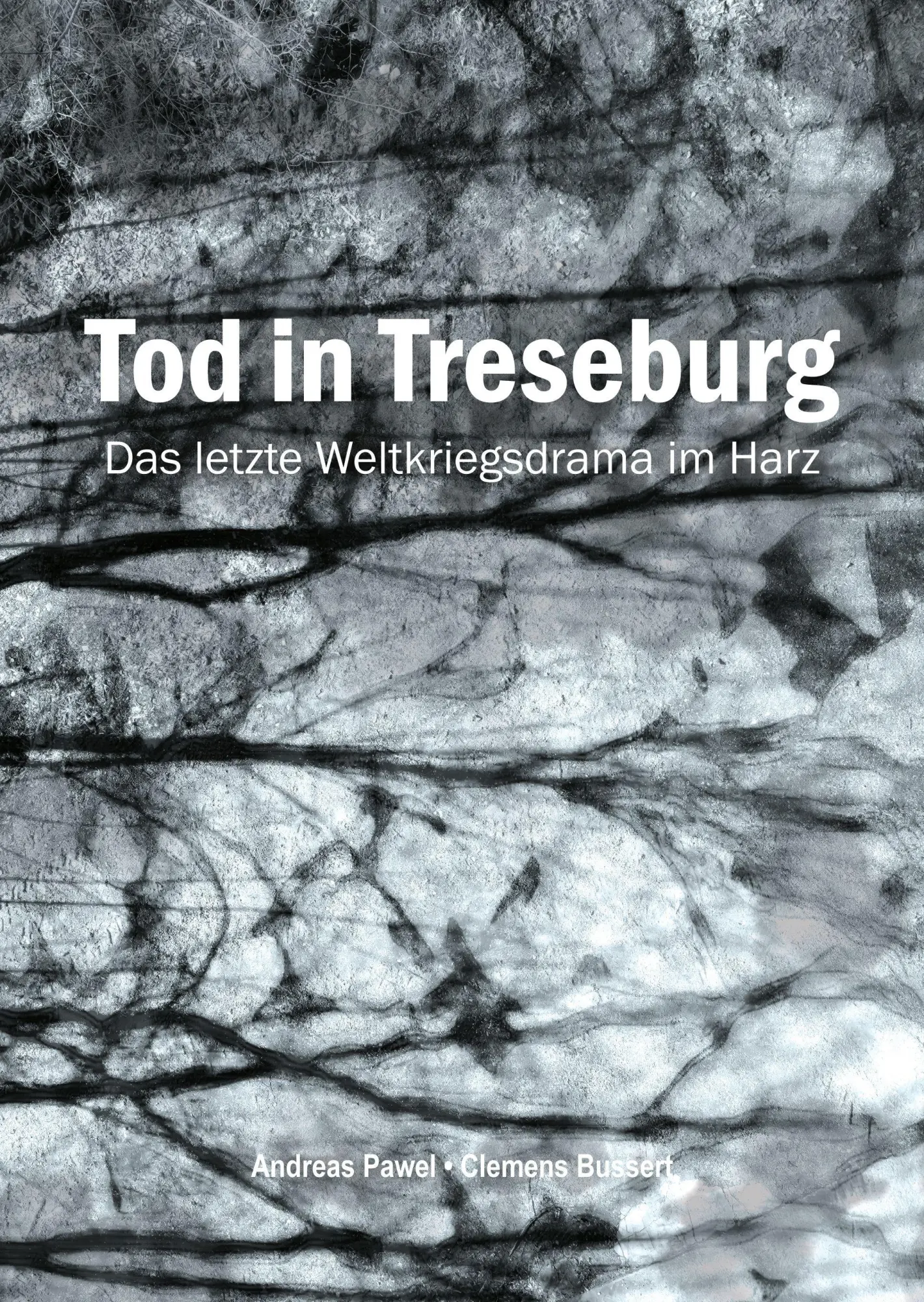 Cover: 9783942115735 | Tod in Treseburg | Das letzte Weltkriegsdrama im Harz | Andreas Pawel