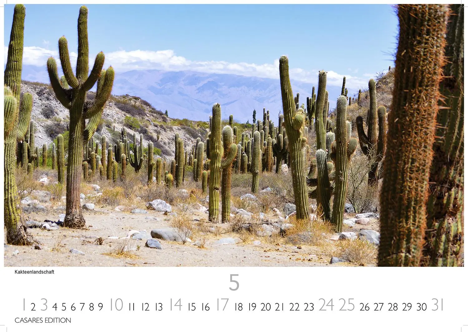 Bild: 9781835245835 | Kalender Argentinien 2026 24x35cm - Bildkalender mit...