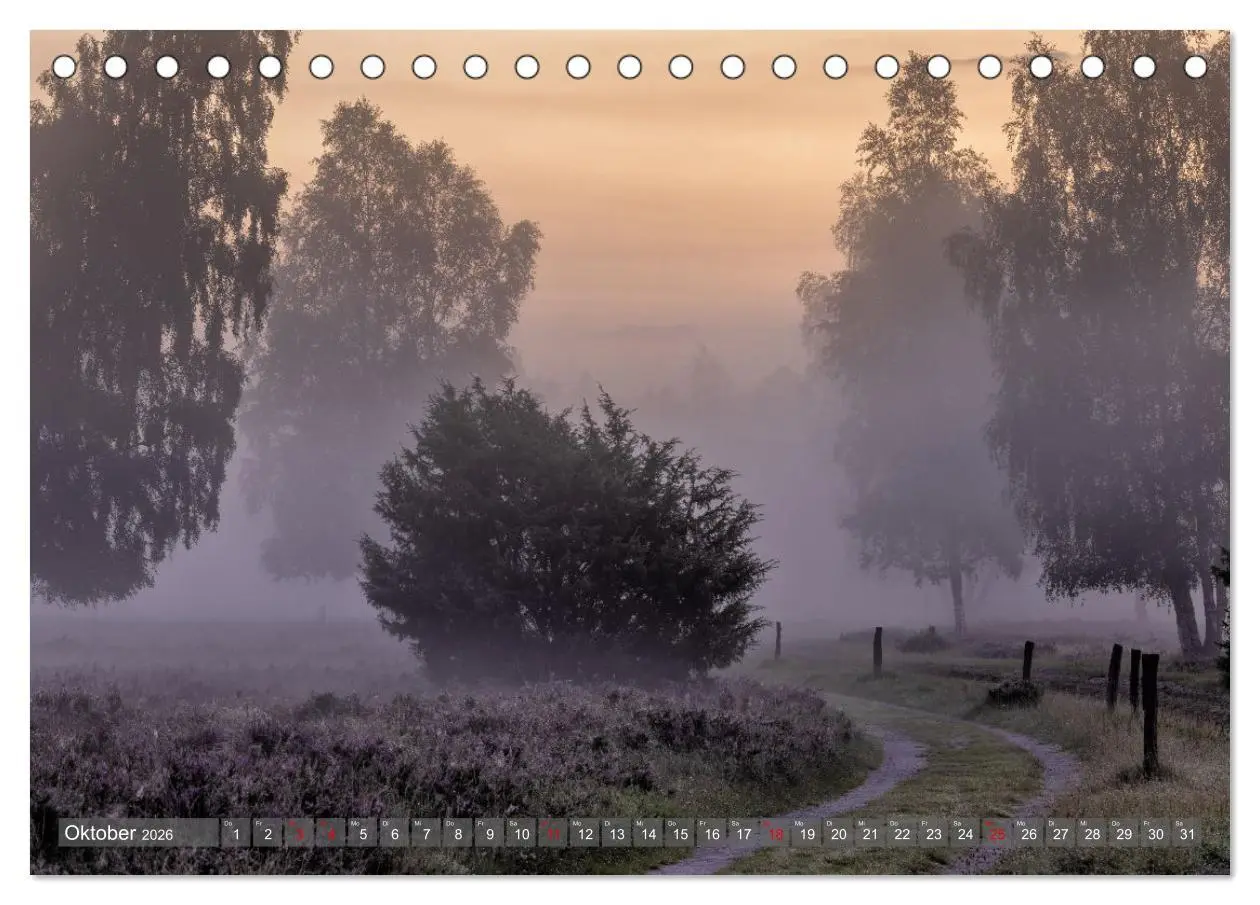 Bild: 9783457485835 | Die Lüneburger Heide - In voller Blüte (Tischkalender 2026 DIN A5...
