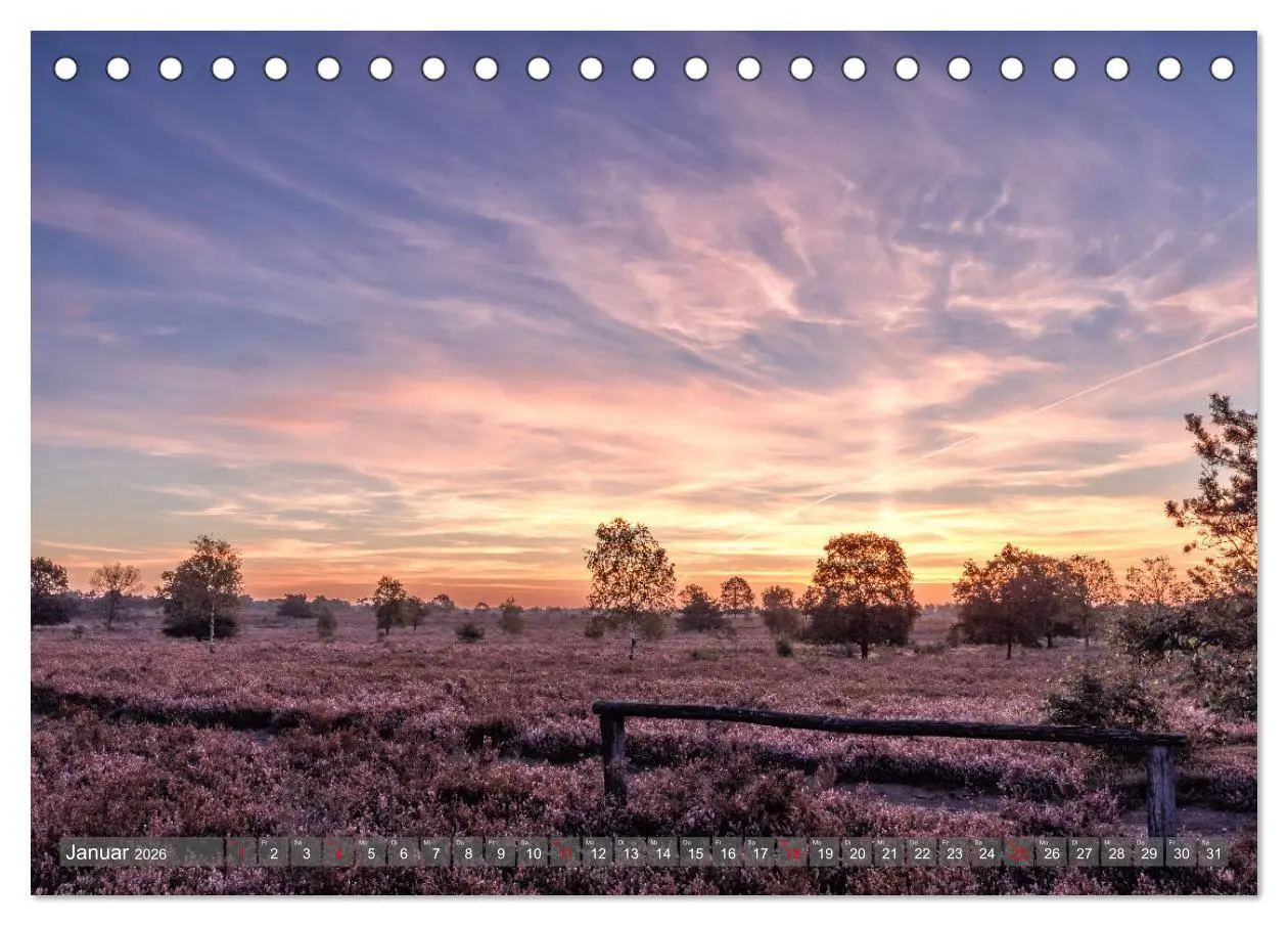 Bild: 9783457485835 | Die Lüneburger Heide - In voller Blüte (Tischkalender 2026 DIN A5...