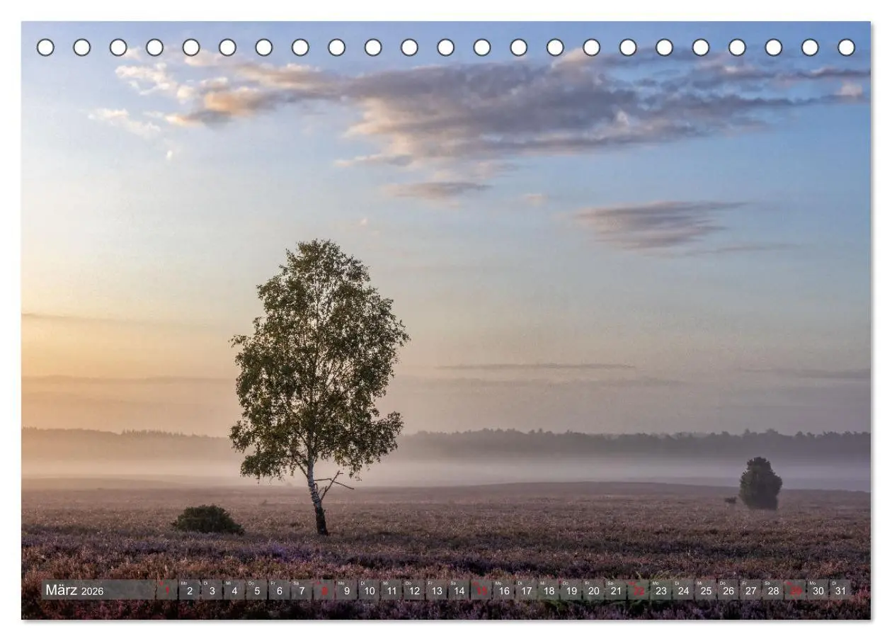Bild: 9783457485835 | Die Lüneburger Heide - In voller Blüte (Tischkalender 2026 DIN A5...