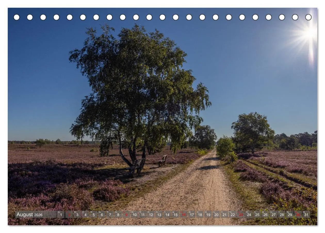 Bild: 9783457485835 | Die Lüneburger Heide - In voller Blüte (Tischkalender 2026 DIN A5...