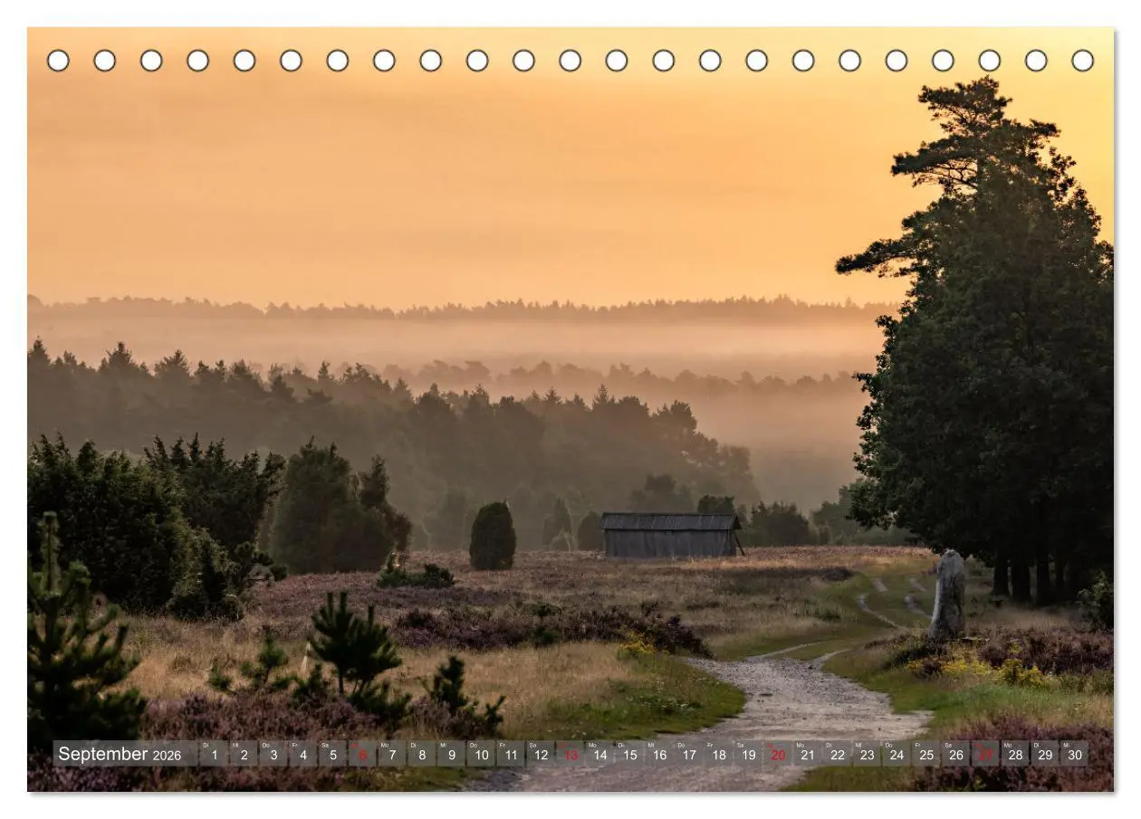 Bild: 9783457485835 | Die Lüneburger Heide - In voller Blüte (Tischkalender 2026 DIN A5...