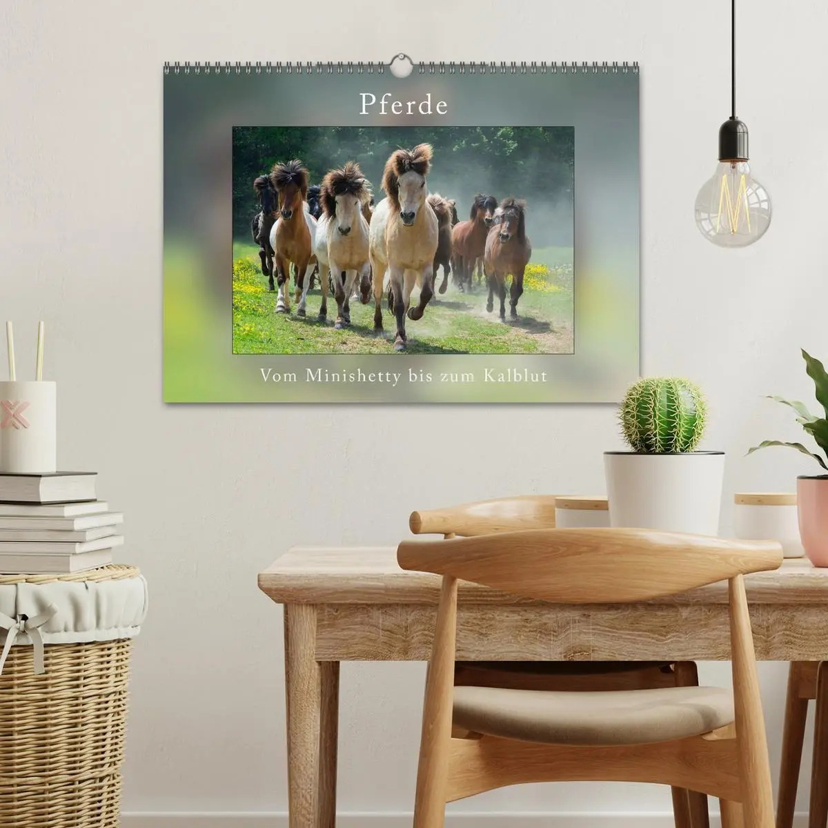 Bild: 9783516025835 | Pferde Vom Minishetty bis zum Kaltblut (Wandkalender 2026 DIN A3...