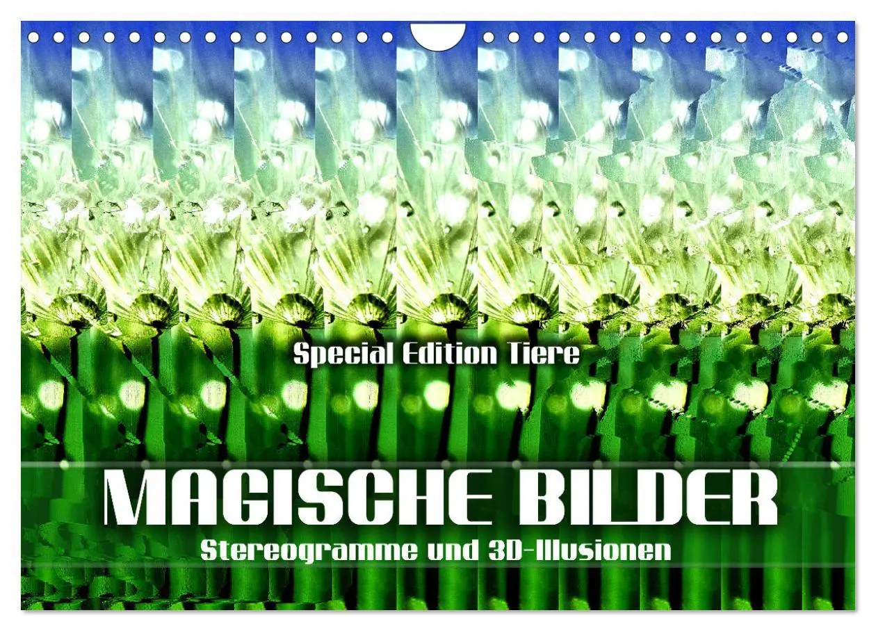 Cover: 9783457545935 | Magische Bilder - Stereogramme und 3D-Illusionen (Wandkalender 2026...