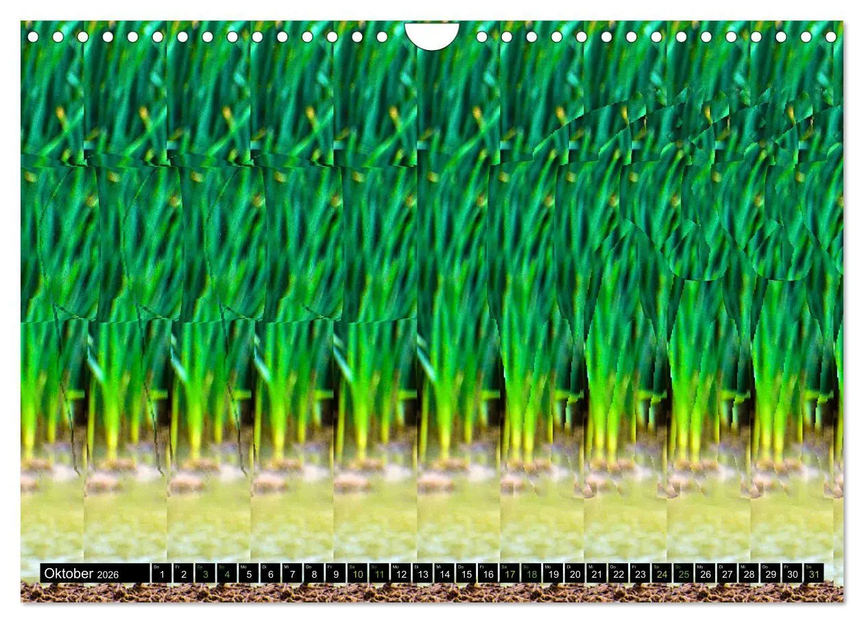 Bild: 9783457545935 | Magische Bilder - Stereogramme und 3D-Illusionen (Wandkalender 2026...