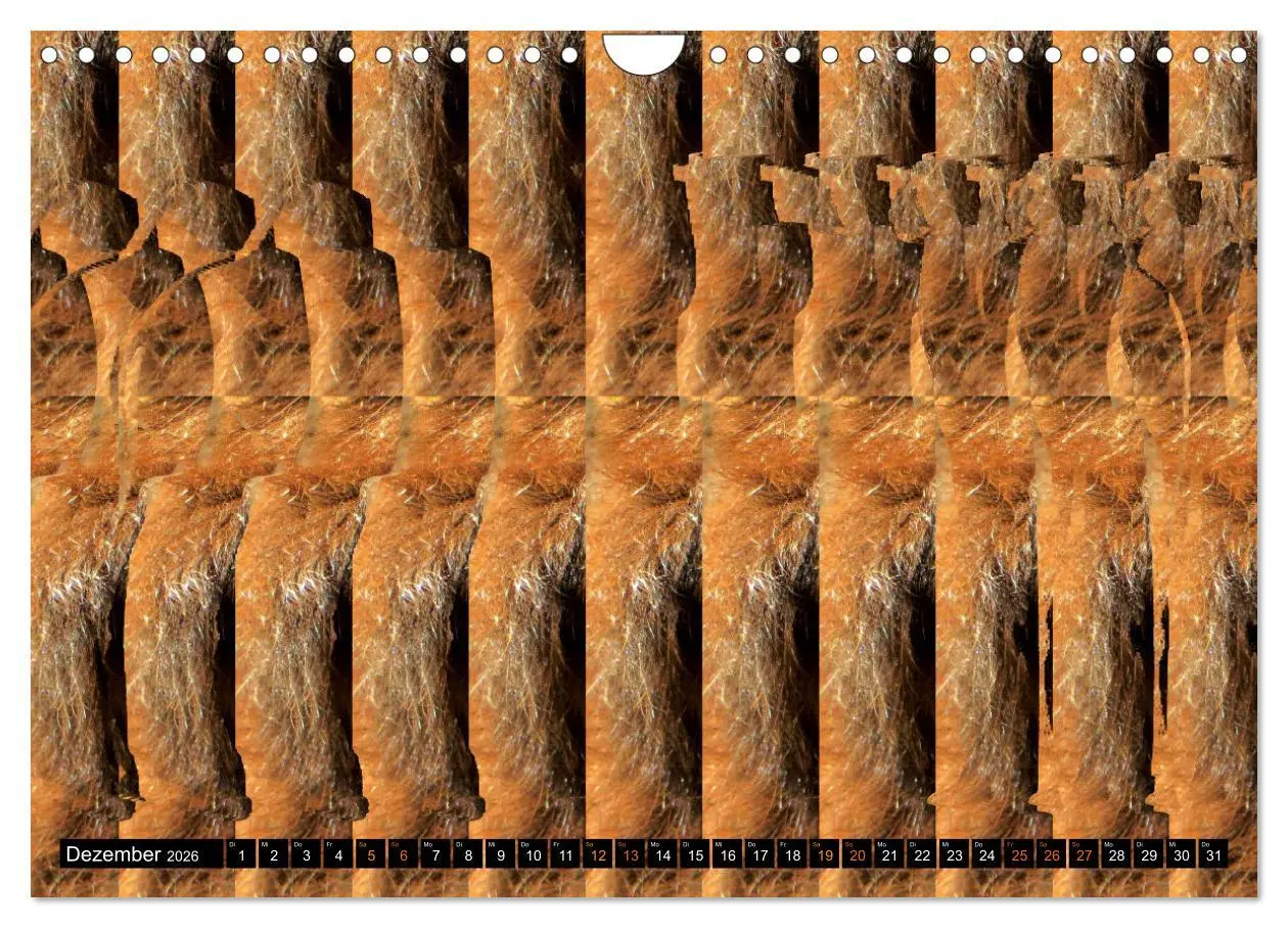 Bild: 9783457545935 | Magische Bilder - Stereogramme und 3D-Illusionen (Wandkalender 2026...