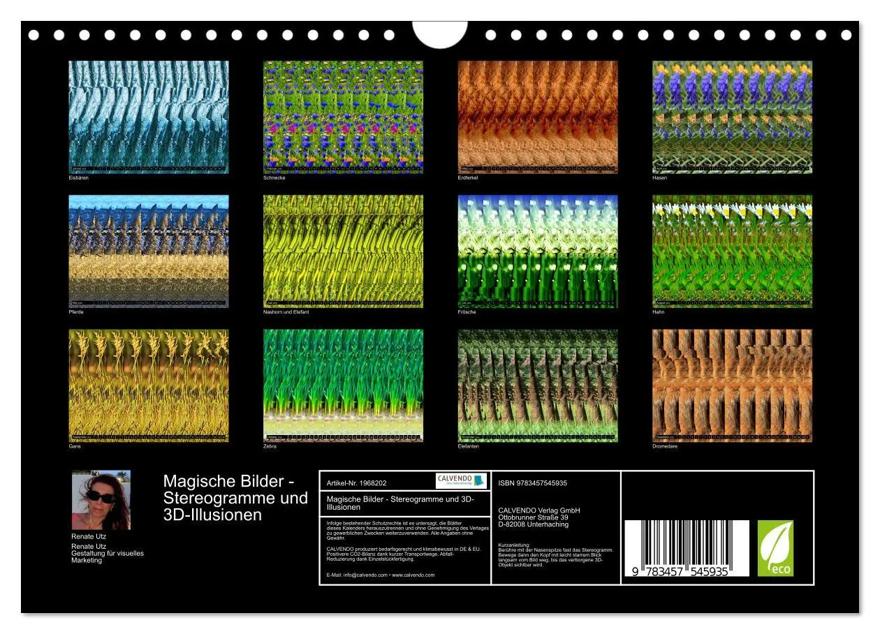 Bild: 9783457545935 | Magische Bilder - Stereogramme und 3D-Illusionen (Wandkalender 2026...