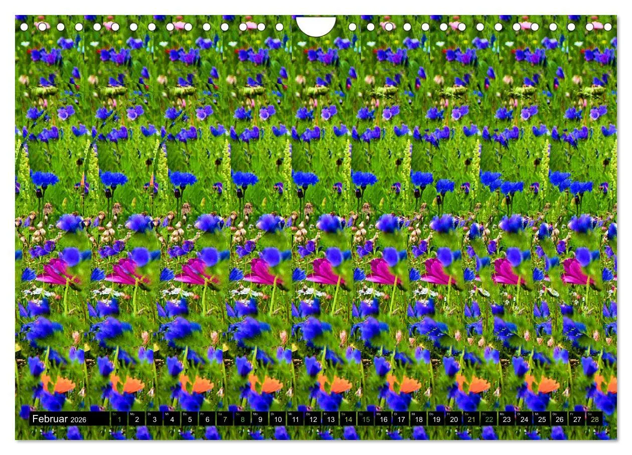 Bild: 9783457545935 | Magische Bilder - Stereogramme und 3D-Illusionen (Wandkalender 2026...