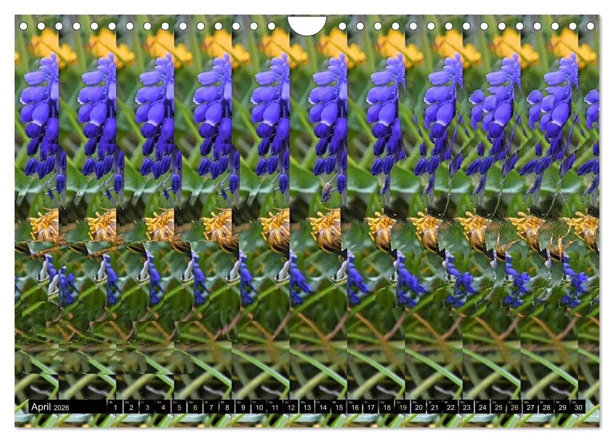 Bild: 9783457545935 | Magische Bilder - Stereogramme und 3D-Illusionen (Wandkalender 2026...