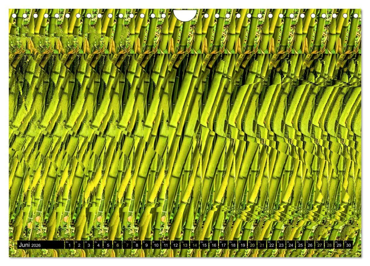 Bild: 9783457545935 | Magische Bilder - Stereogramme und 3D-Illusionen (Wandkalender 2026...