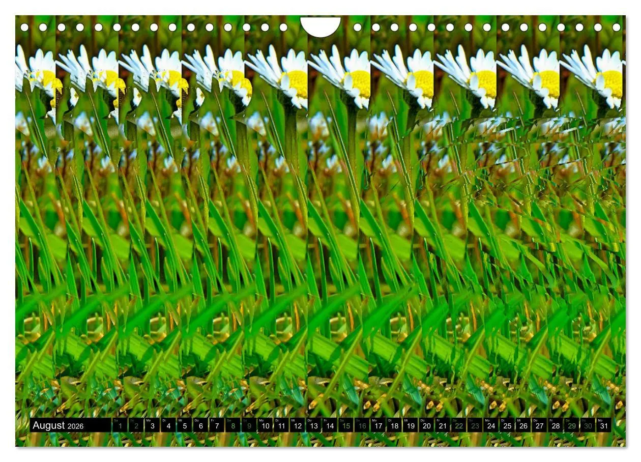 Bild: 9783457545935 | Magische Bilder - Stereogramme und 3D-Illusionen (Wandkalender 2026...