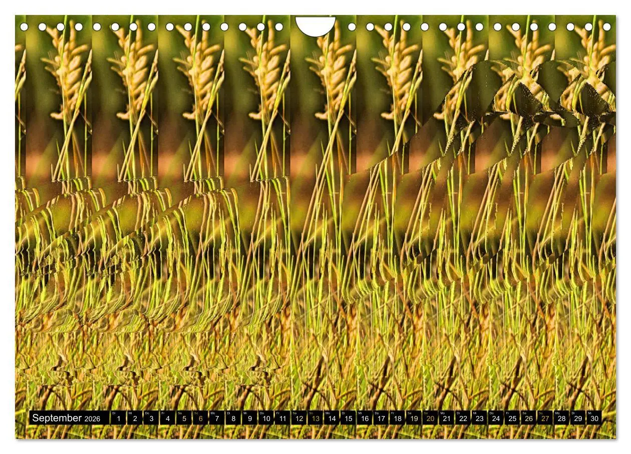 Bild: 9783457545935 | Magische Bilder - Stereogramme und 3D-Illusionen (Wandkalender 2026...