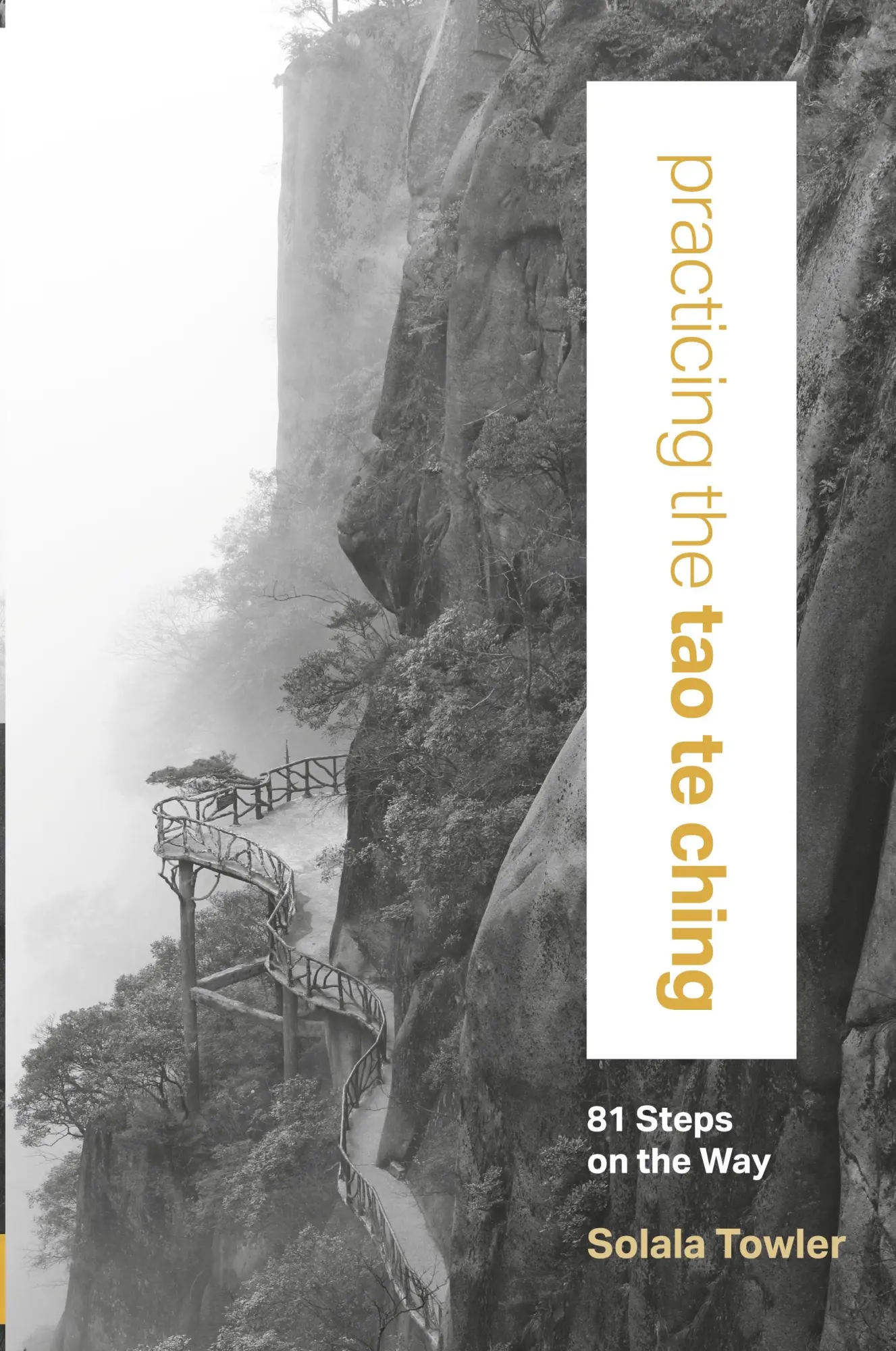 Cover: 9781622036035 | Practicing the Tao Te Ching | Towler Solala | Taschenbuch | Englisch