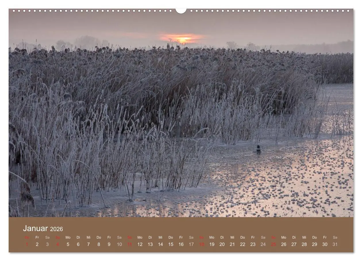 Bild: 9783457986035 | Der Federsee - Vogelparadies in Oberschwaben (Wandkalender 2026 DIN...