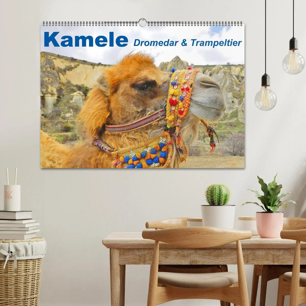 Bild: 9783516146035 | Kamele ¿ Dromedar &amp; Trampeltier (Wandkalender 2026 DIN A2 quer),...
