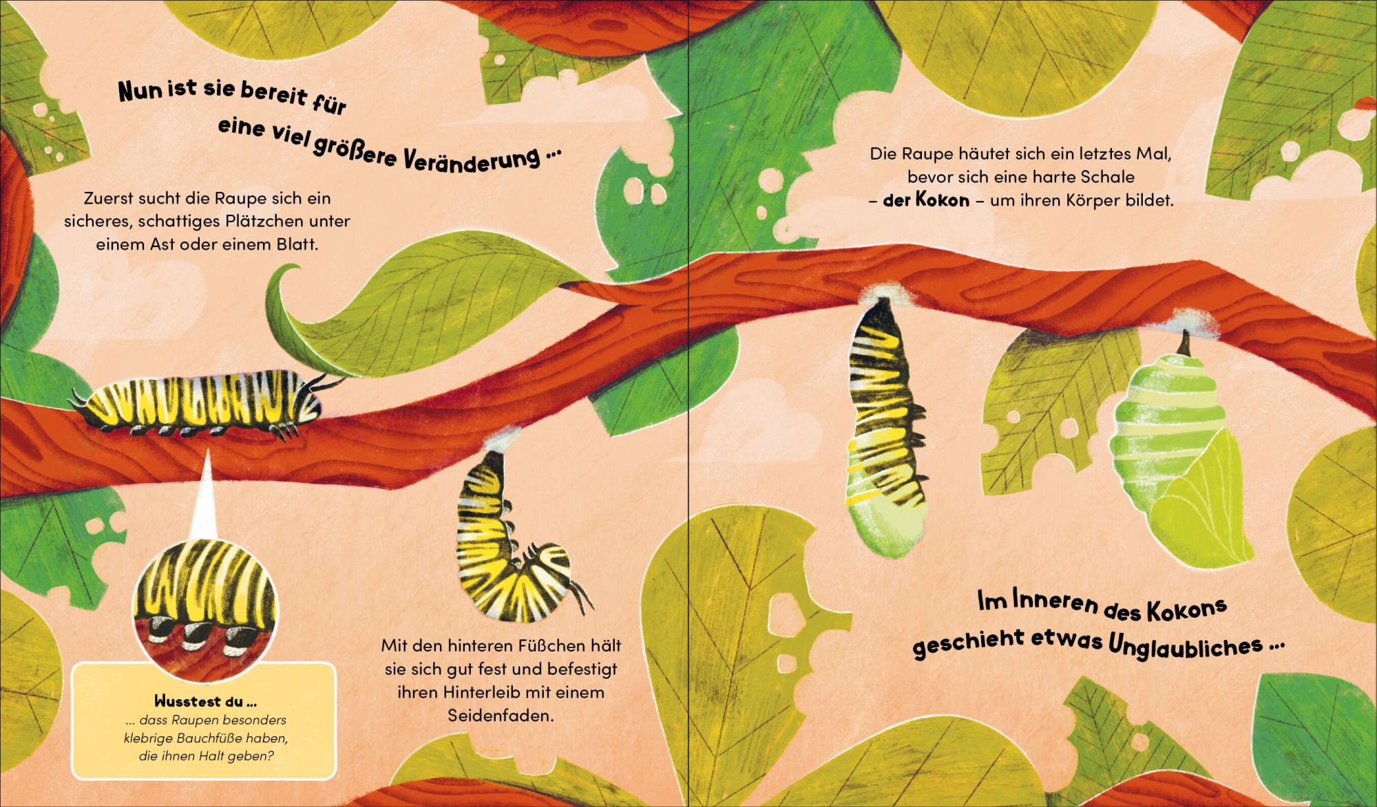Bild: 9783791376035 | Aus klein wird groß. So wächst ein Schmetterling | Forster (u. a.)