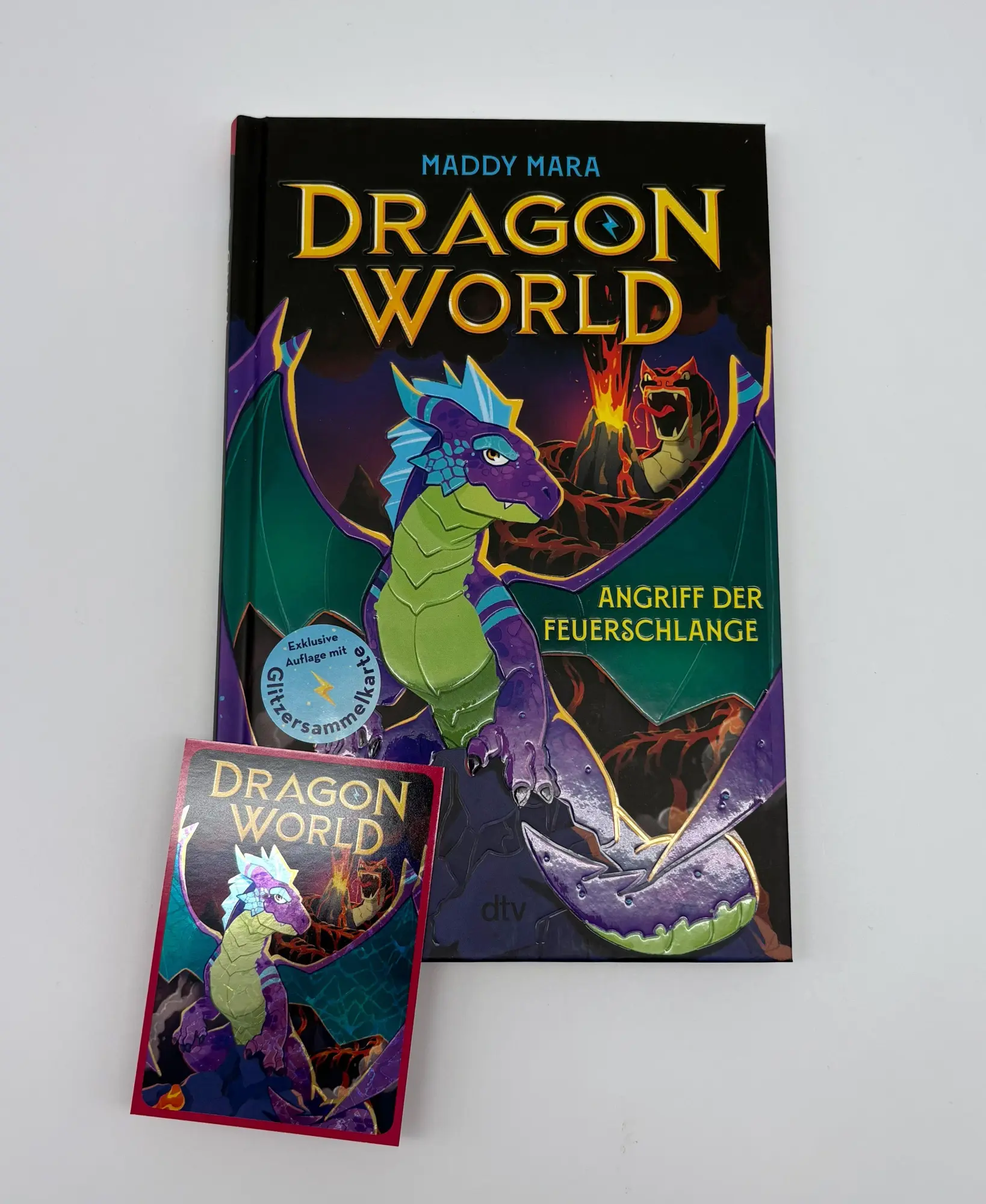 Bild: 9783423766135 | Dragon World - Angriff der Feuerschlange | Drachen-Abenteuer ab 8