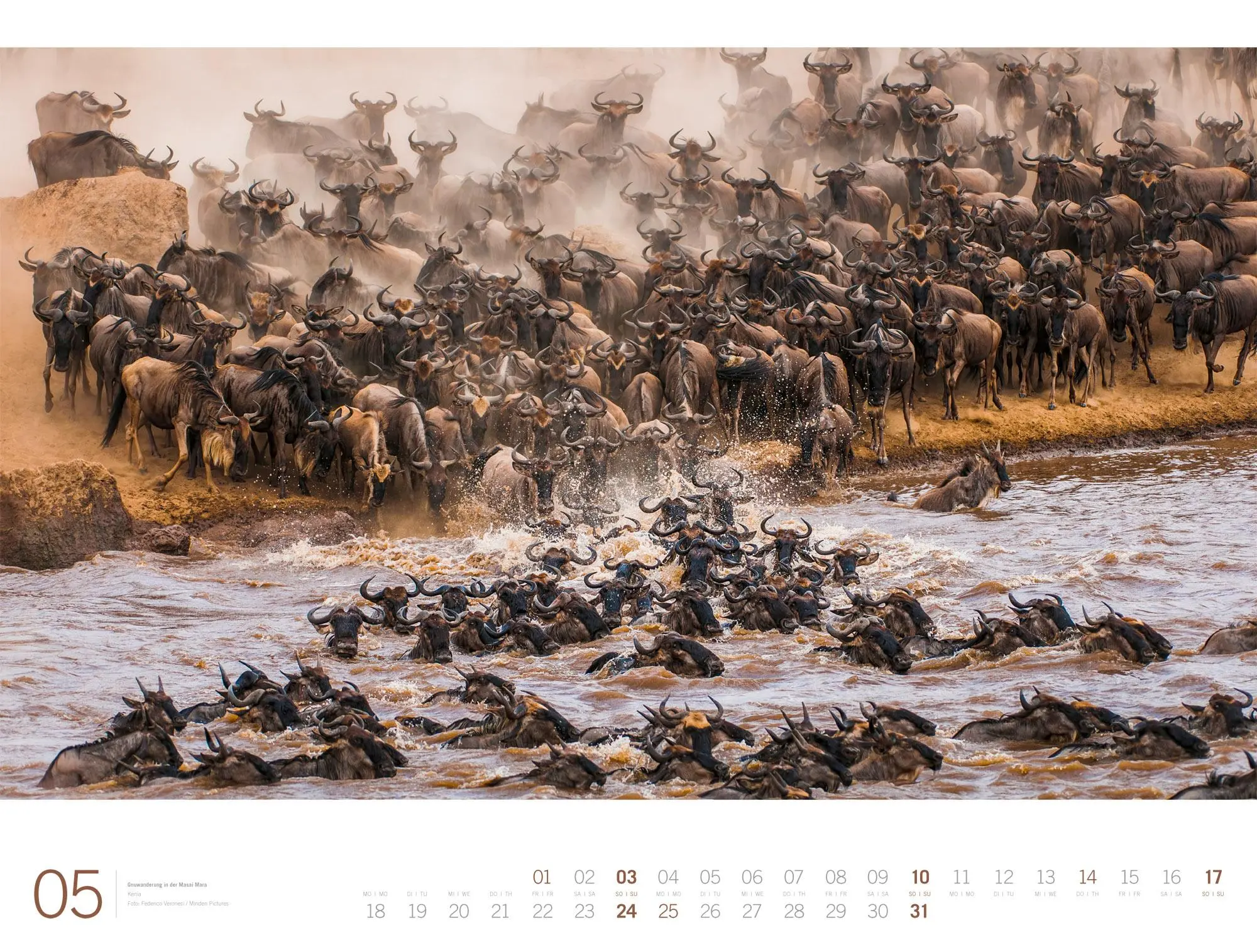 Bild: 9783838436135 | Afrika Gallery Kalender 2026 | Ackermann Kunstverlag GmbH | Kalender