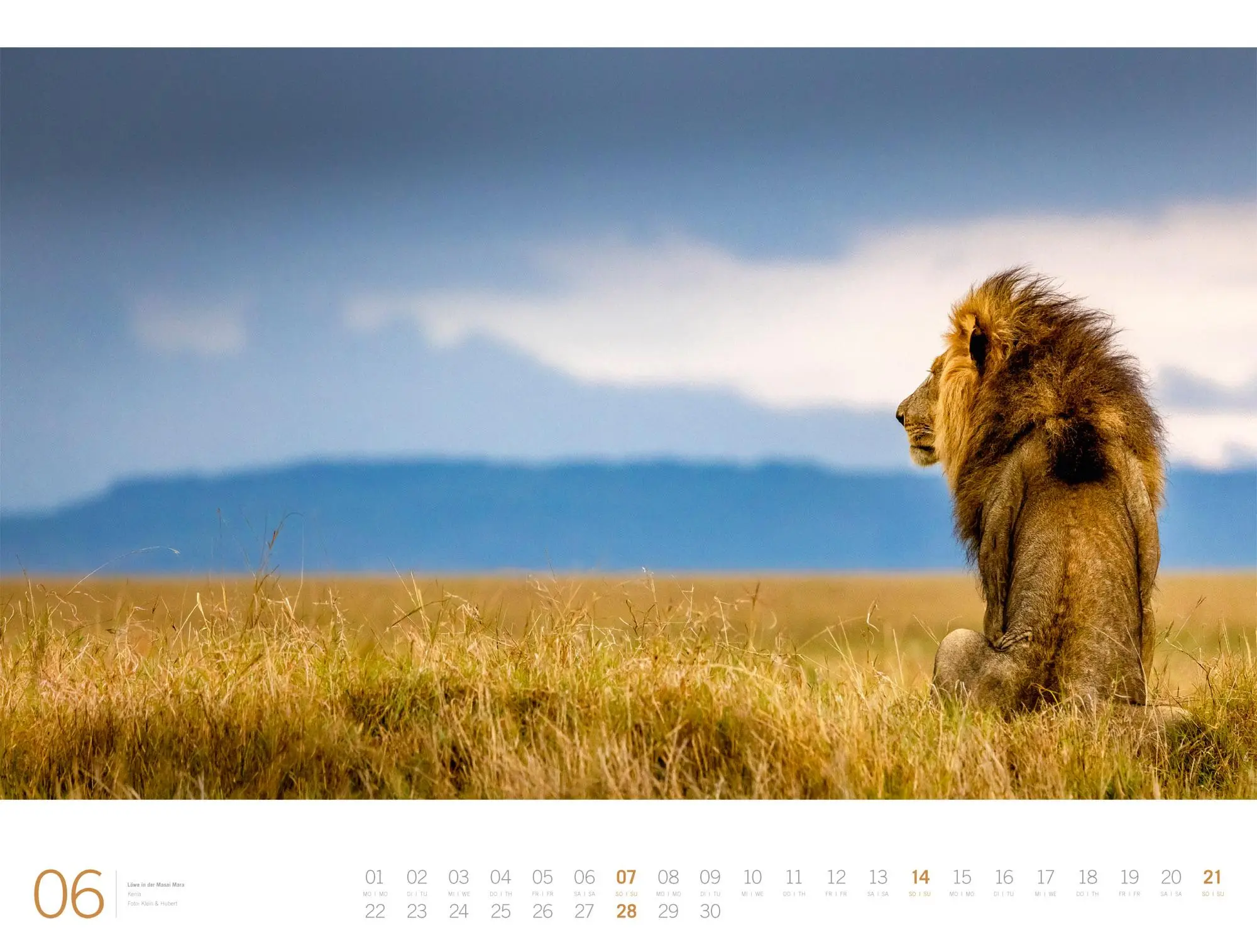 Bild: 9783838436135 | Afrika Gallery Kalender 2026 | Ackermann Kunstverlag GmbH | Kalender