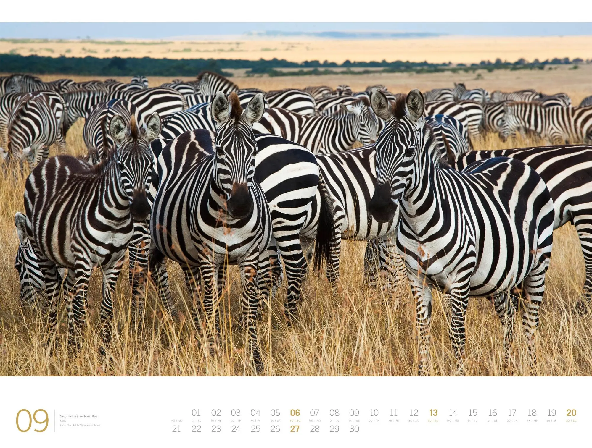 Bild: 9783838436135 | Afrika Gallery Kalender 2026 | Ackermann Kunstverlag GmbH | Kalender