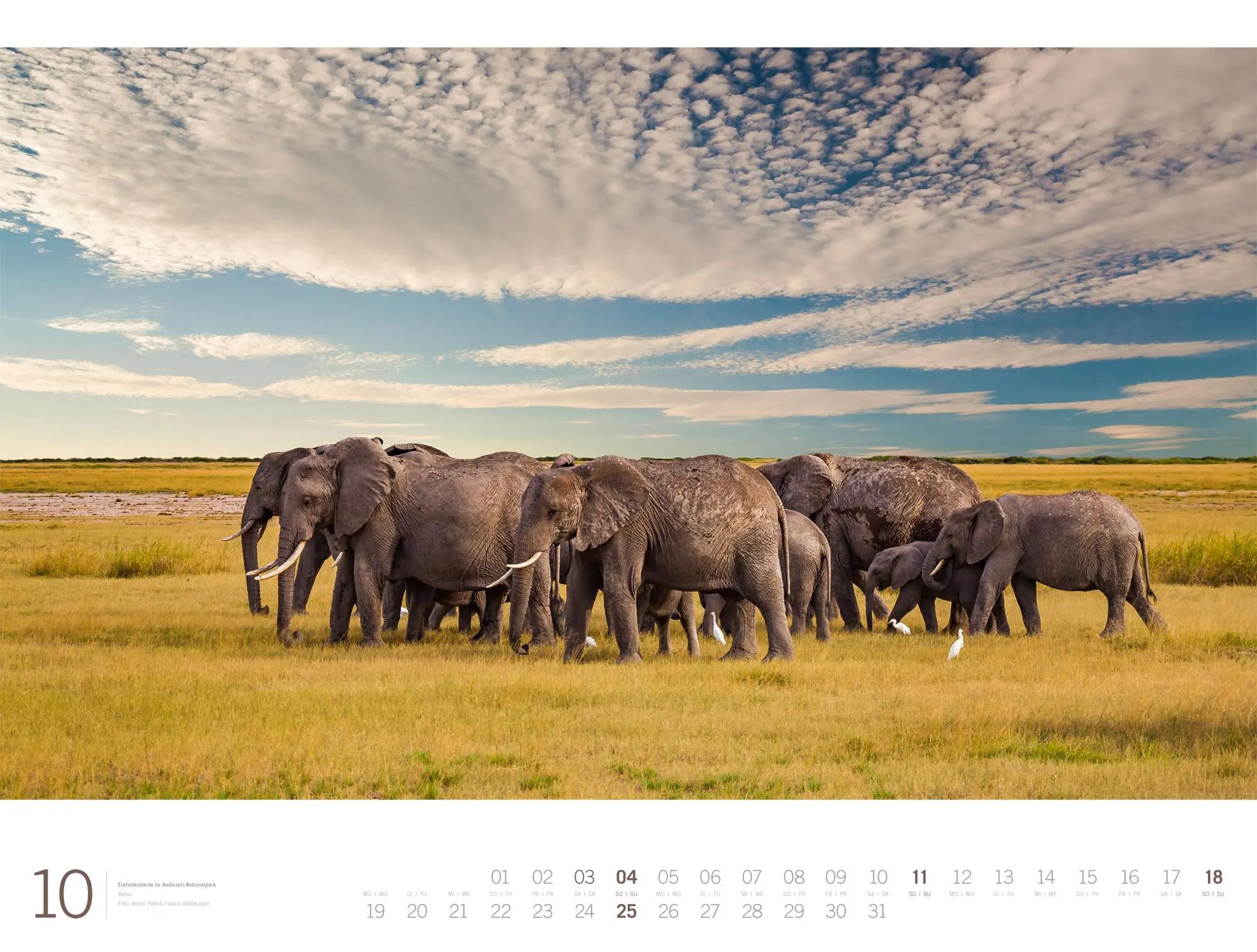 Bild: 9783838436135 | Afrika Gallery Kalender 2026 | Ackermann Kunstverlag GmbH | Kalender