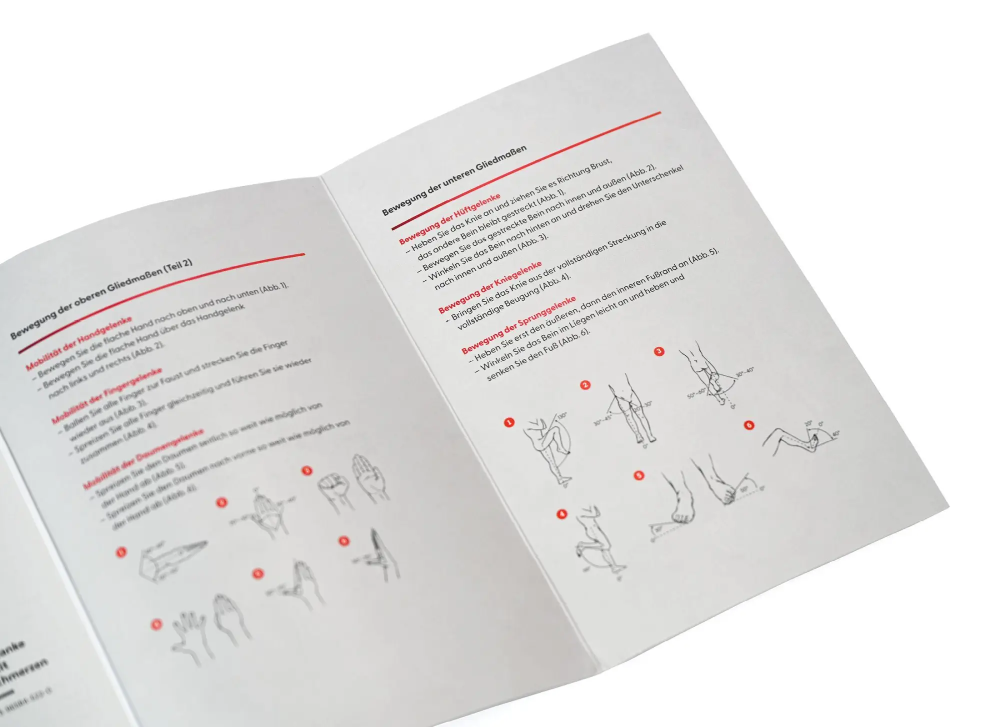 Bild: 9783965846135 | Die Faszienlüge | Matthias Manke (u. a.) | Taschenbuch | 176 S. | 2026