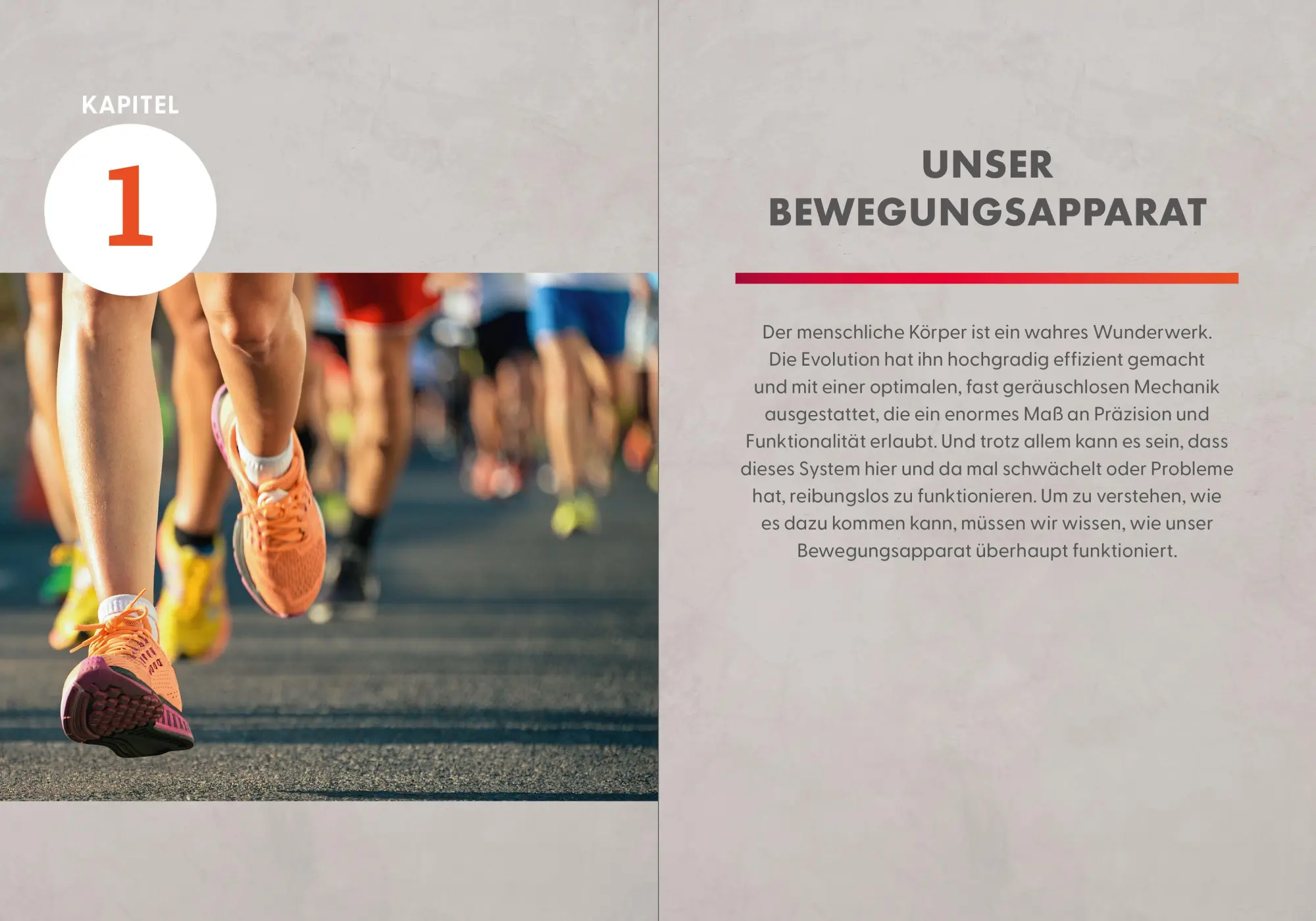 Bild: 9783965846135 | Die Faszienlüge | Matthias Manke (u. a.) | Taschenbuch | 176 S. | 2026