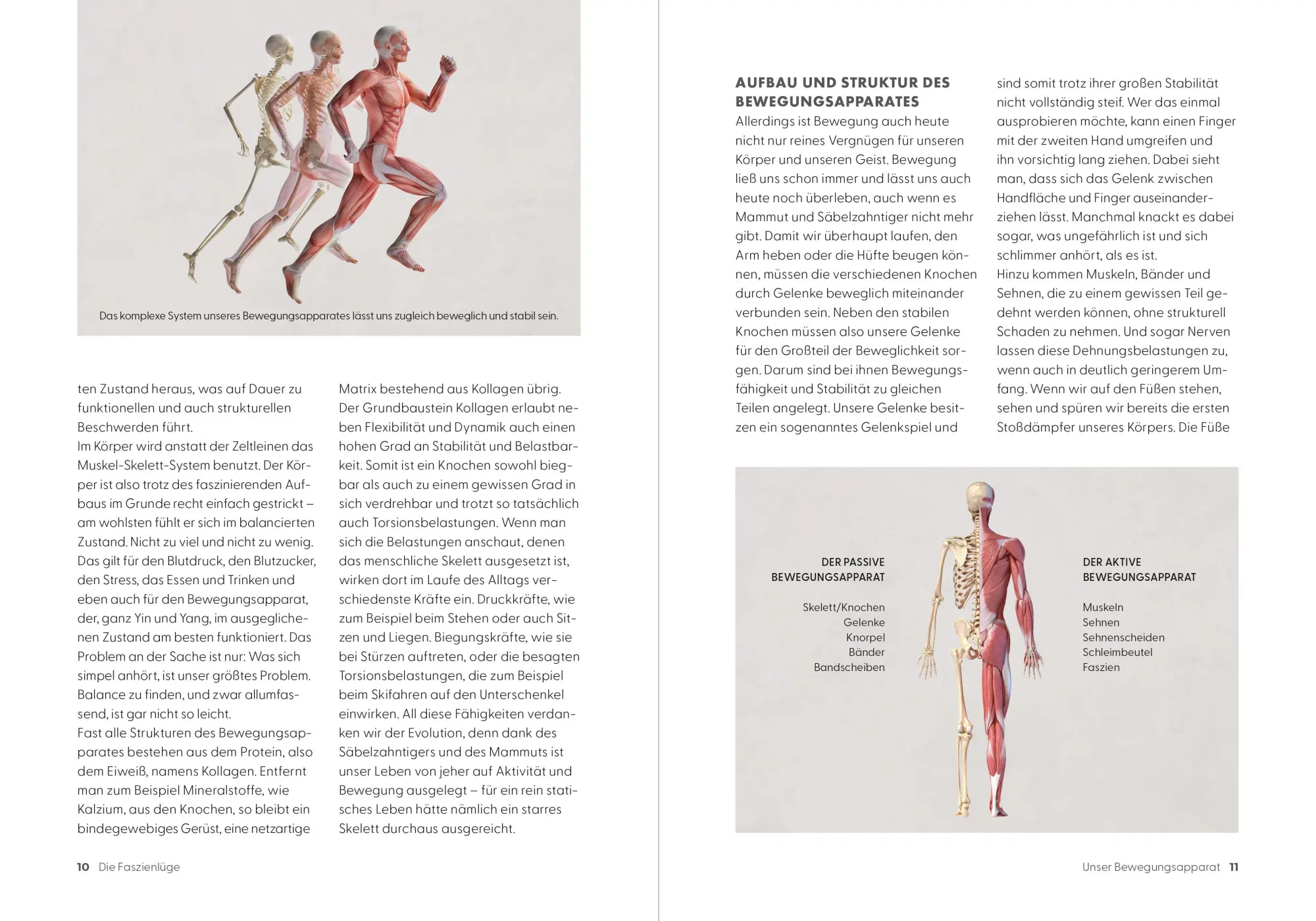 Bild: 9783965846135 | Die Faszienlüge | Matthias Manke (u. a.) | Taschenbuch | 176 S. | 2026