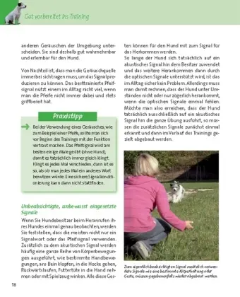 Bild: 9783275016235 | Komm zu mir! | Monika Schaal (u. a.) | Taschenbuch | 96 S. | Deutsch