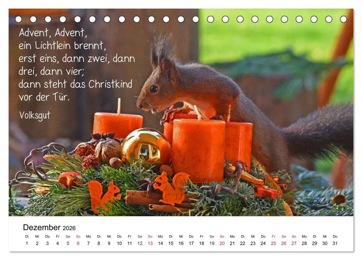 Bild: 9783457896235 | Der literarische Eichhörnchen-Kalender (Tischkalender 2026 DIN A5...