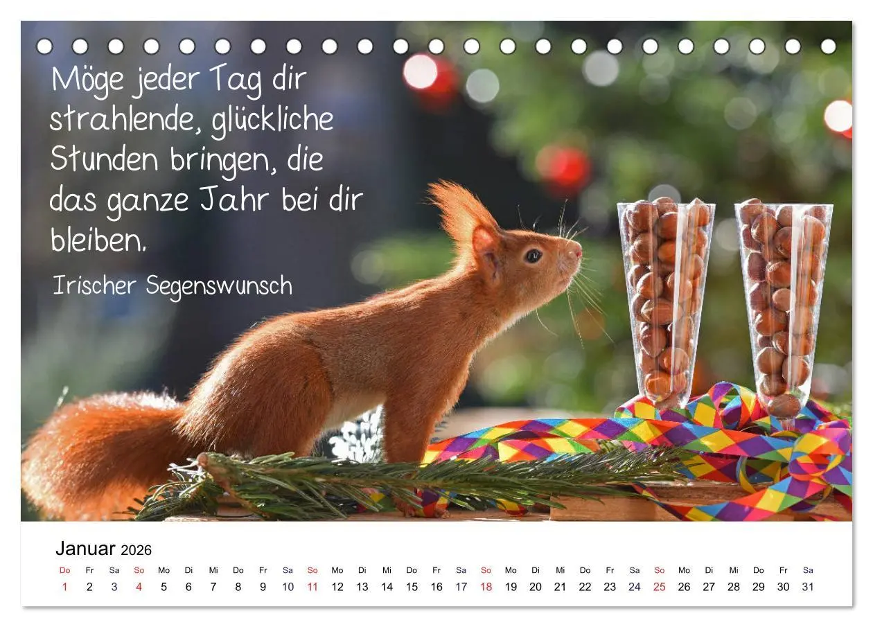 Bild: 9783457896235 | Der literarische Eichhörnchen-Kalender (Tischkalender 2026 DIN A5...