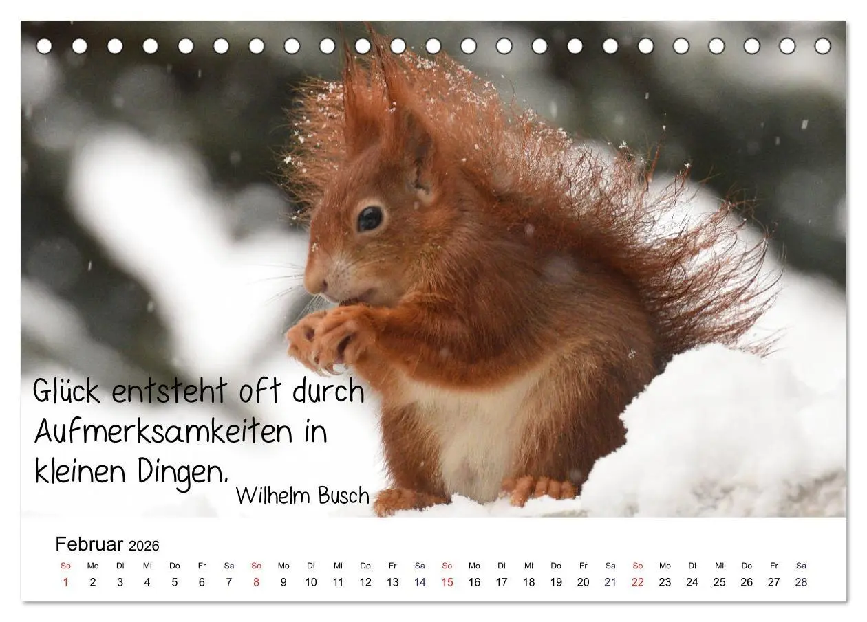 Bild: 9783457896235 | Der literarische Eichhörnchen-Kalender (Tischkalender 2026 DIN A5...